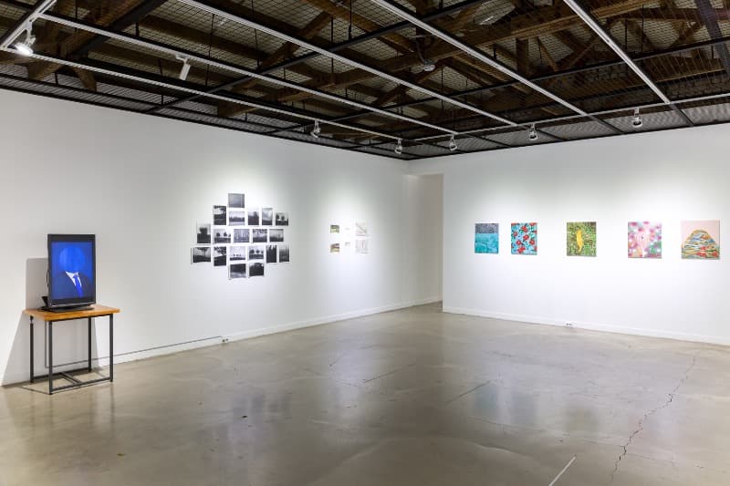 installation views