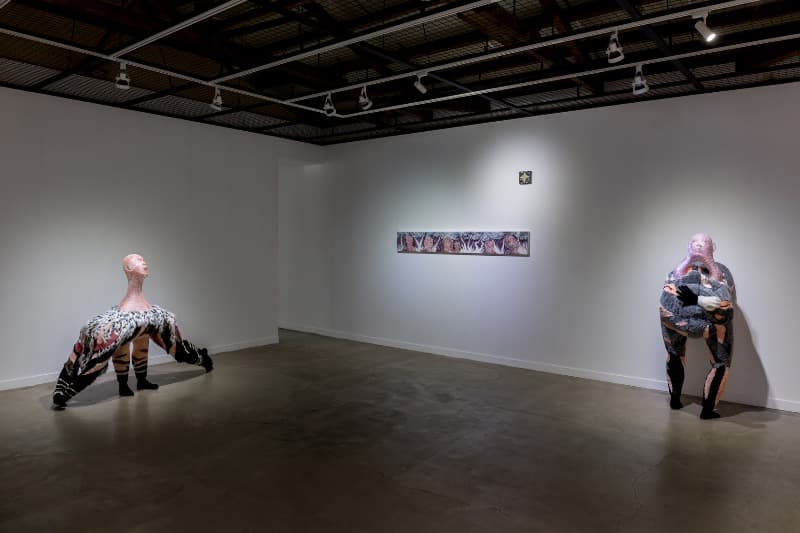 installation views