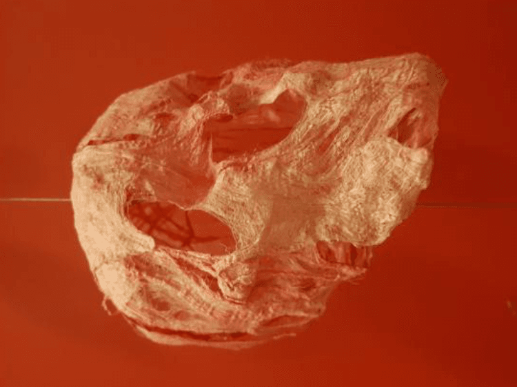 3.5.8 Untitled - 권정호 · Dakpaper_ · 800x500x300cm · 2020