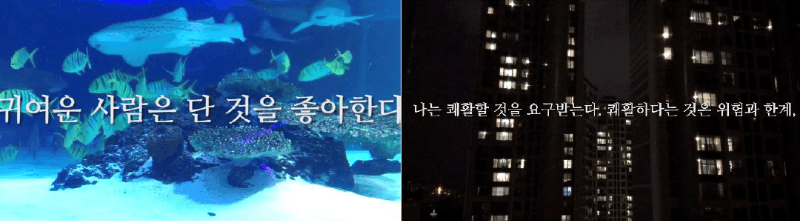 불완전한 생활 · 2채널 영상, 칼라, 사운드, 자막(한국어) · 각 1~2분 · 2019