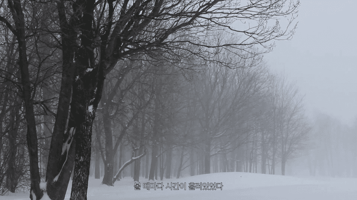 함혜경, A small island I call Peace · single channel video, color, sound · 13분 30초 · 2020, Nam June Paik Art Center Commission