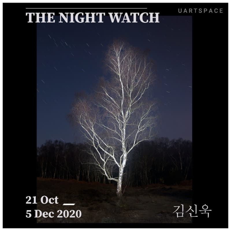 김신욱 개인전 : The Night Watch 포스터