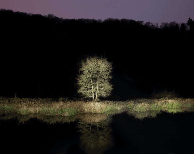 Filly · Archival Pigment Print · 80 x 100 cm · 2012