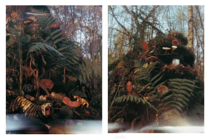 Soungui Kim, Forêt 1, Forêt 2 · Pinhole camera, analogue c-print · 167 x 123 cm each, diptych · 1998-1999 · Pinhole camera, analogue c-print