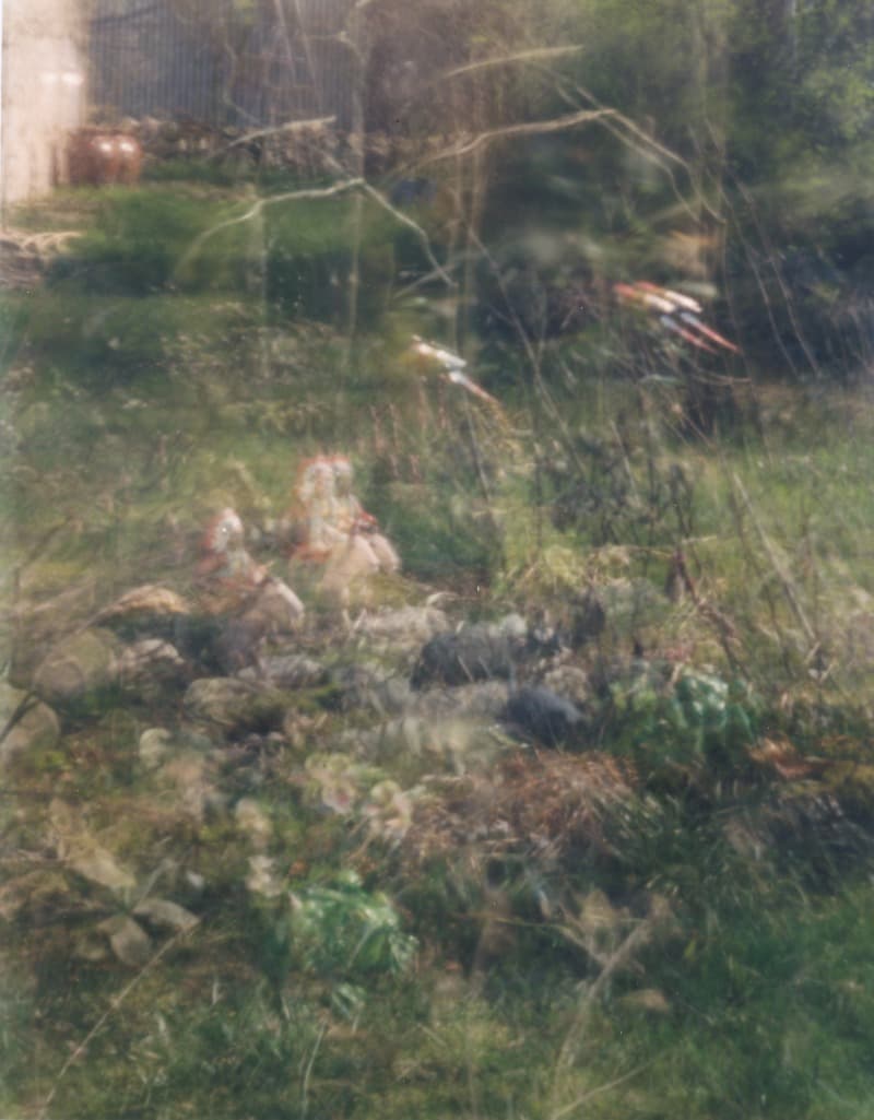 Soungui Kim, Peroquet_Indien · Pinhole camera, analogue c-print · 173 x 123 cm · 1999 · Pinhole camera, analogue c-print
