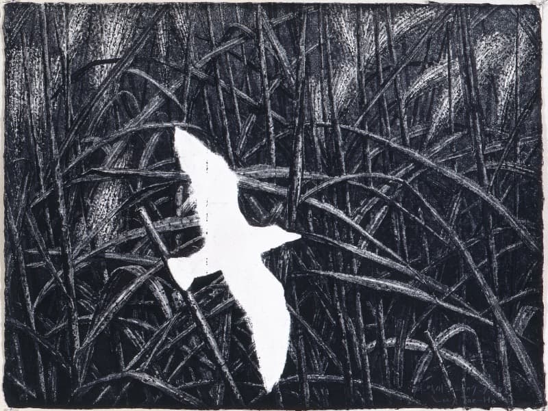 새-억새 2006-9(D) · 종이에 먹, 목탄 · 75x57cm · 2007