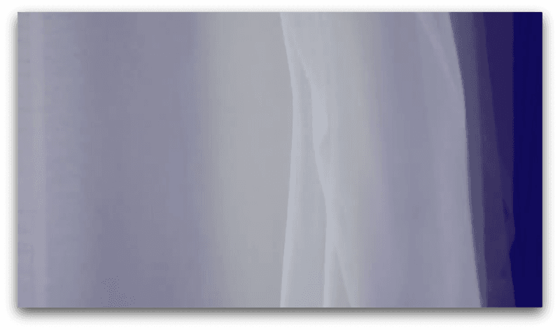 Caesar □□ · Single Channel Video, 12’ 00”, Two Channel Video, loop · 2019