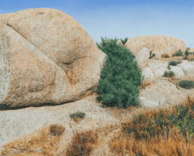 Untitled 2582 · Oil on canvas · 130.3 x 162.2 cm · 2019 · Untitled 2582 · Oil on canvas