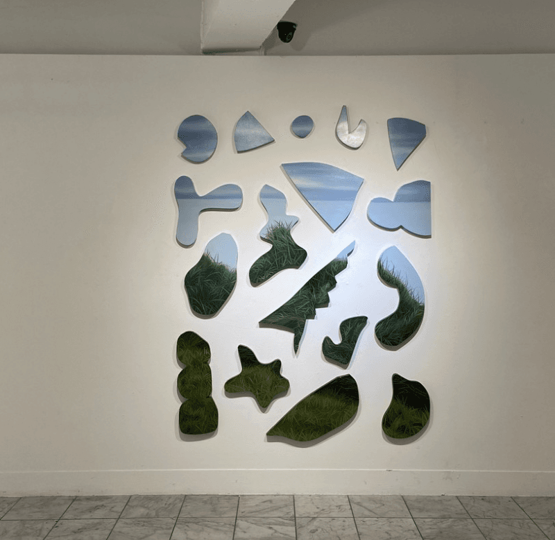 installation views