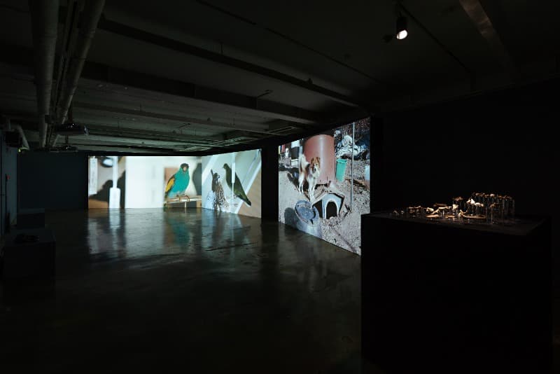 신이피 – 4FA 설치전경 · ©SongEun Art and Cultural Foundation and the Artist. All rights reserved.