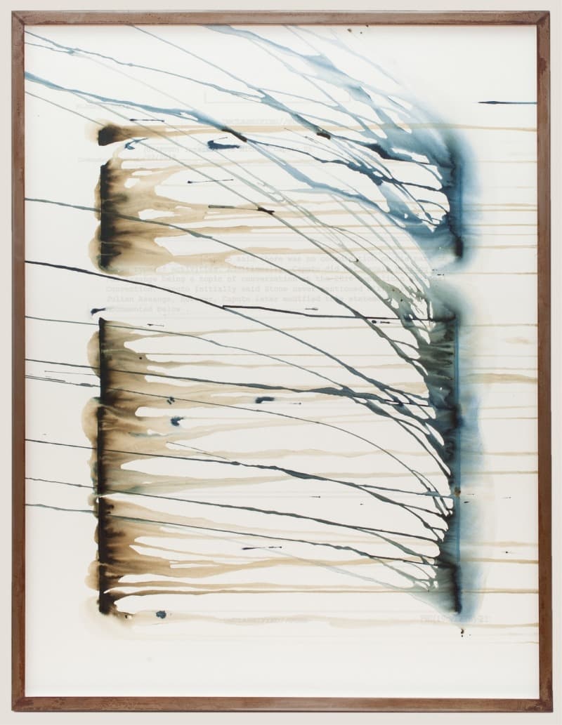 hacking and/or Assange · Graphite and watercolor on paper · 90.8 x 69.2 cm · 2020 · hacking and/or Assange · Graphite and watercolor on paper