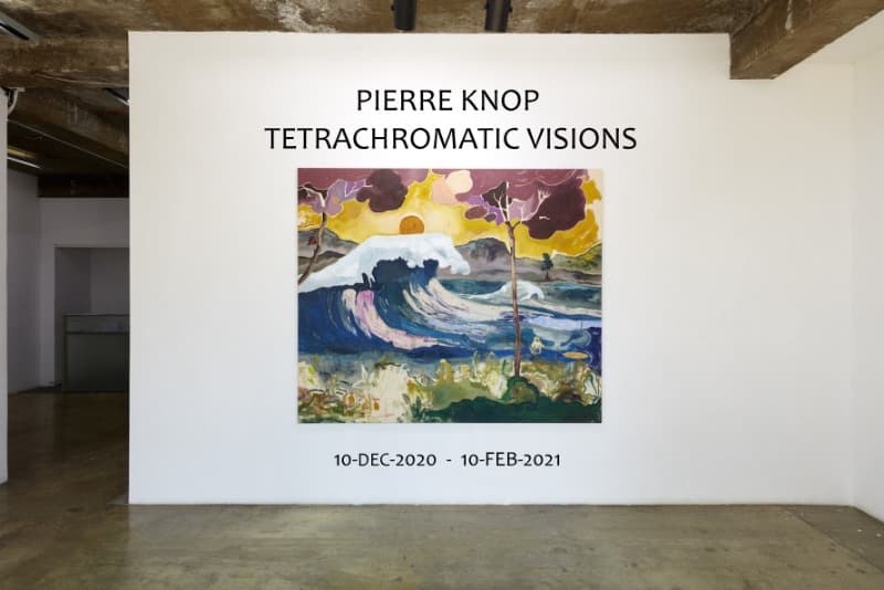 PIERRE KNOP: TETRACHROMATIC VISIONS