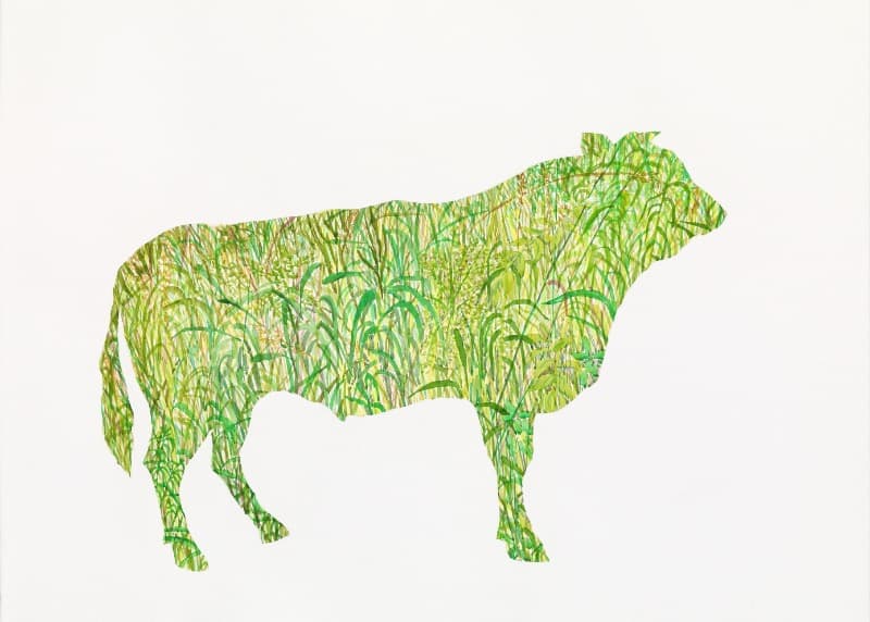 김제민 - Grass-소 · BFK 종이에 과슈 · 75.3x106cm · 2021