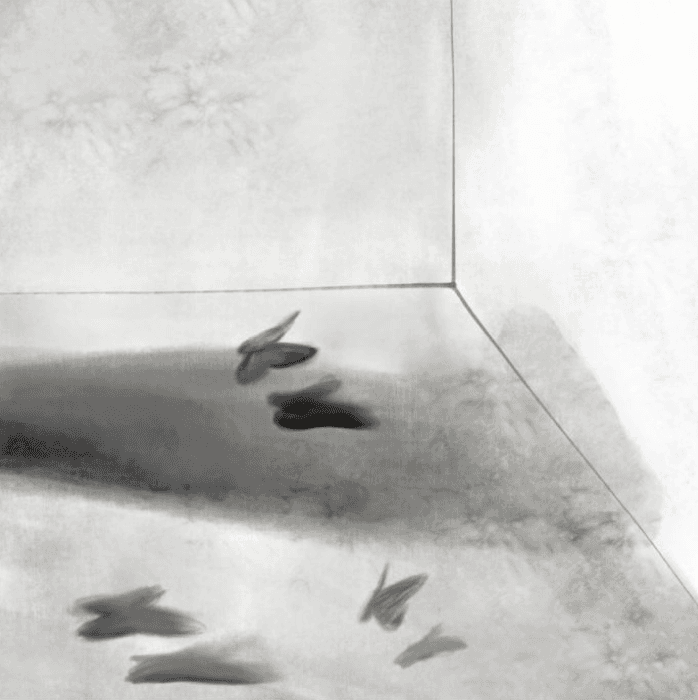 Die unvollendete Welt · Pigment ink on photo rag barely · 46x46cm · 2021