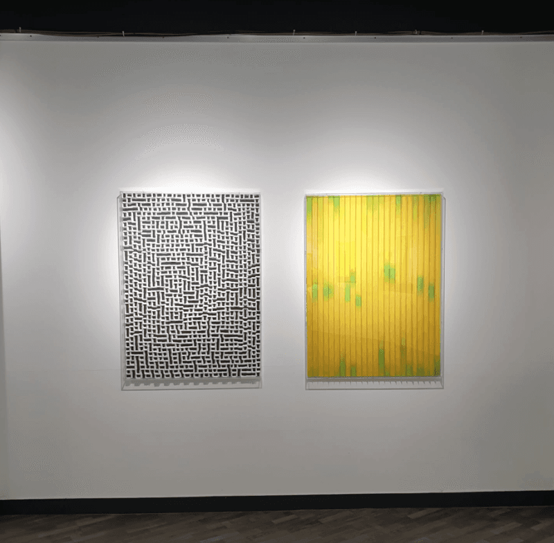 installation views