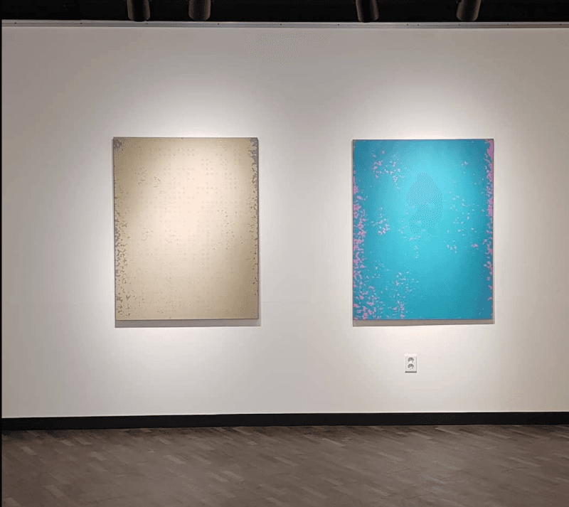 installation views