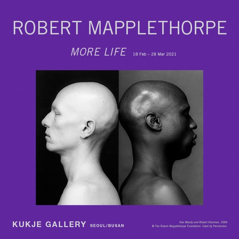 ROBERT MAPPLETHORPE: More Life 포스터