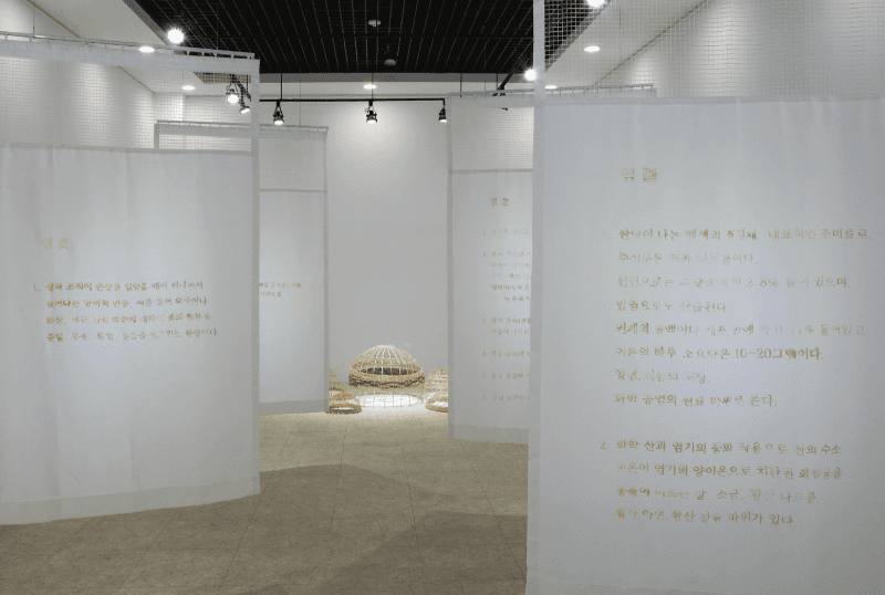 installation views
