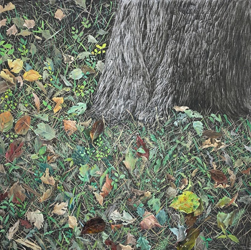 이경하 숲 · charcoal& oil on canvas · 72.5x72.5cm · 2021 (이미지 제공 = 청화랑) · charcoal& oil on canvas