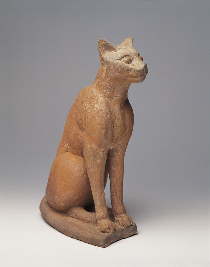 권진규_고양이 · 테라코타 · 26x15x42cm · 1960, 가나문화재단 소장 [출처] 포항시립미술관 홈페이지 · cat