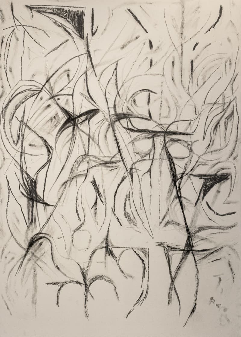 pnk nght · 캔버스에 흑연과 석탄 · 186 x 133 cm · 2021 [출처] PKM 갤러리 홈페이지 · pnk nght · Graphite and coal on canvas