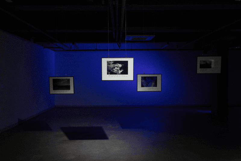(the untitled void 제공)