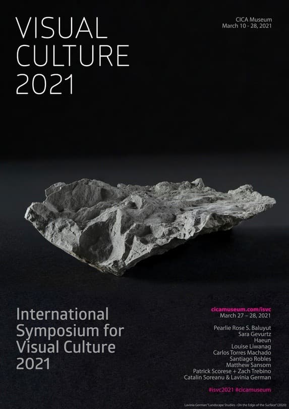 Visual Culture 2021 포스터