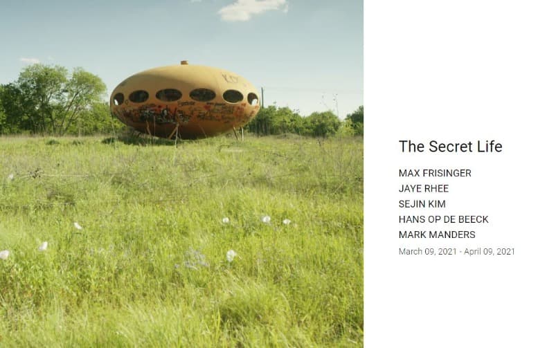 The Secret Life  포스터