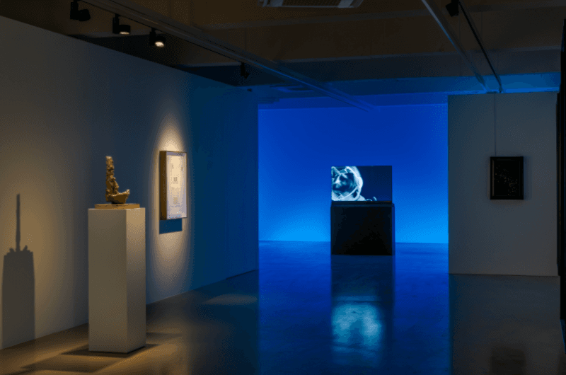 Intallation view : The Secret Life, Gallery Baton, Seoul, Mar 9 - Apr 9 2021 · Courtesy of Gallery Baton (이미지 출처 = 갤러리 바톤) · Intallation view : The Secret Life, Gallery Baton, Seoul, Mar 9 - Apr 9 2021 · Courtesy of Gallery Baton (Source of image = Gal