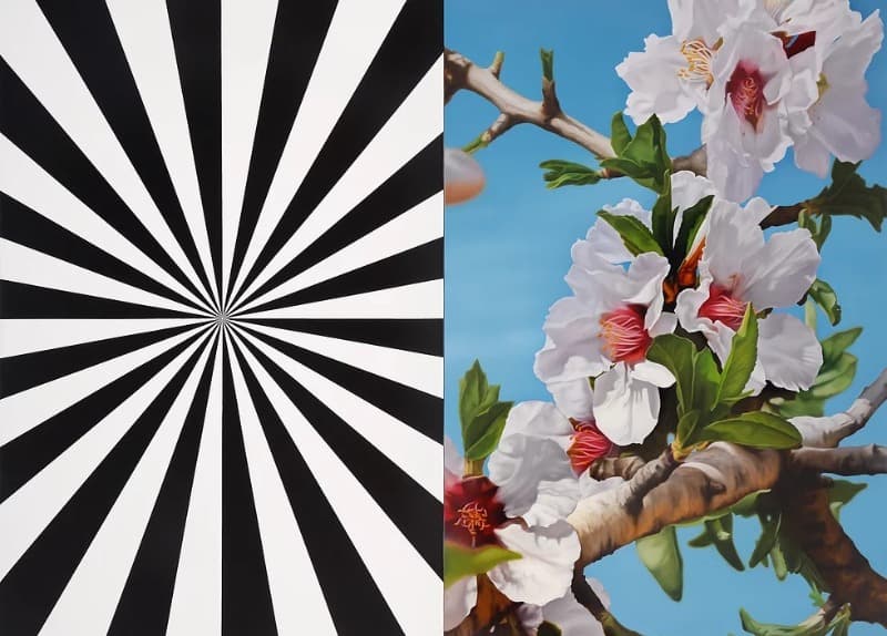 무스타파 훌루시 : Blossoms in Spiritual Time