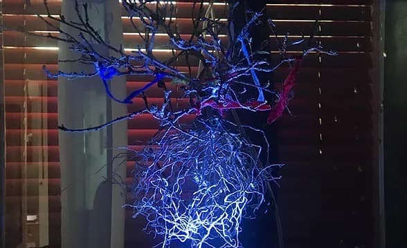 탄생 · mixed media · size variable · 2021 (출처= 호랑가시나무 창작소) · Birth · mixed media