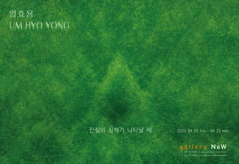 엄효용 : 진실의 실체가 나타날 때 포스터