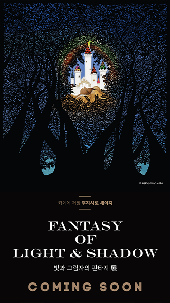 카케에 거장 후지시로 세이지 <빛과 그림자의 판타지> 展 포스터