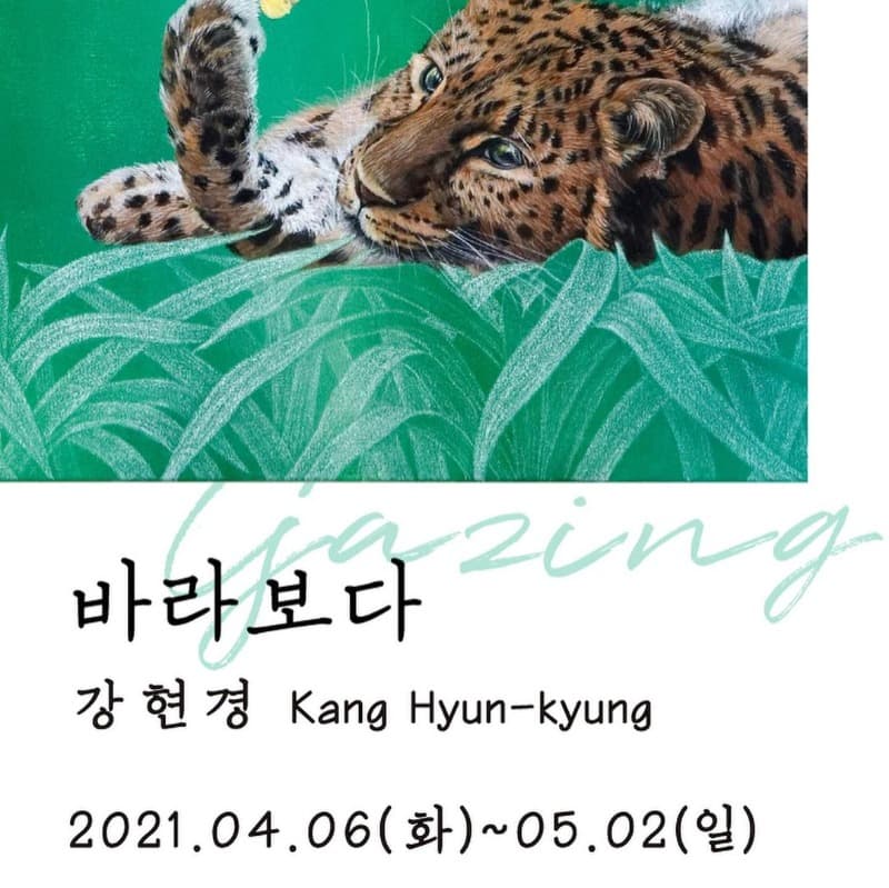강현경 : 바라보다