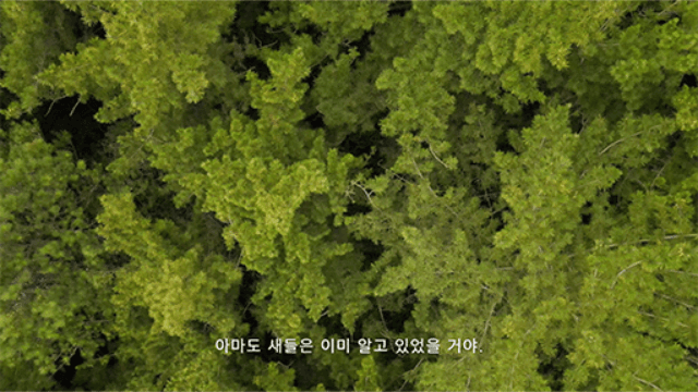The Hermming · 단채널비디오, 사운드 · 1분 42초 · 2020-21 (이미지 출처 = 갤러리 조선) · The Hermming