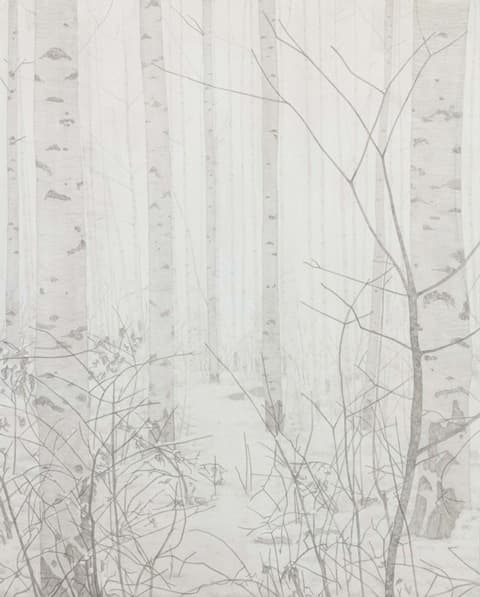 birch tree_3 · 순지에 먹과 호분 · 130.3 x 162.2cm · 2020 (출처= 갤러리일호)