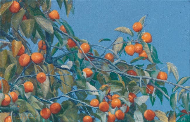 persimmon tree 006 · Mixed Media on Canvas · 53.0 x 40.9cm · (출처= 레드엘갤러리) · persimmon tree 006 · Mixed Media on Canvas