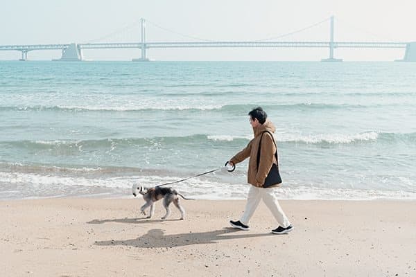 2020.01.24_12:54:59 · (출처= 공간291)