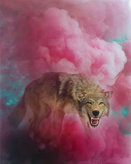 권순관_THE RED SMOKE #1 · 180×150cm · 2018 (출처= KP 갤러리)