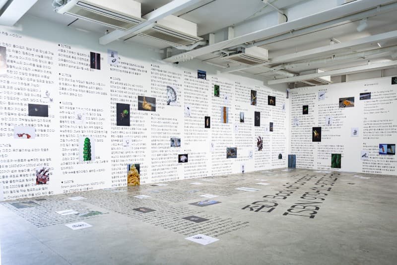 유영진x정지돈x최재훈  존.D · 혼합 매체 · 2021 ©SongEun Art and Cultural Foundation and the Artist. All rights reserved.