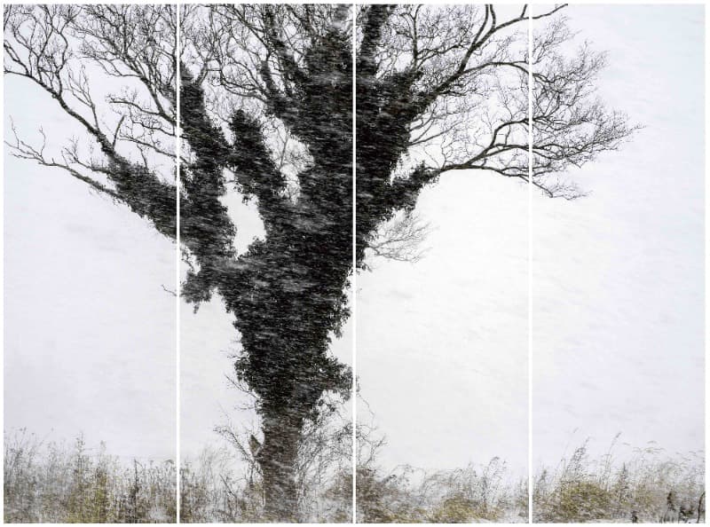 Hado · Folding Screen Hanji Print · 188x193cm, Ed. of 7+AP 2 · 2016 (이미지 제공 = JJ중정갤러리) · Hado · Folding Screen Hanji Print