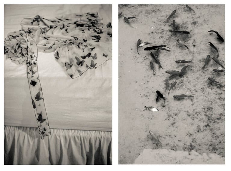 Petit Repertory #03/#04 · 피그먼트 프린트 · 50x33cm each · 2021 (출처= 갤러리브레송) · Petit Repertory #03/#04