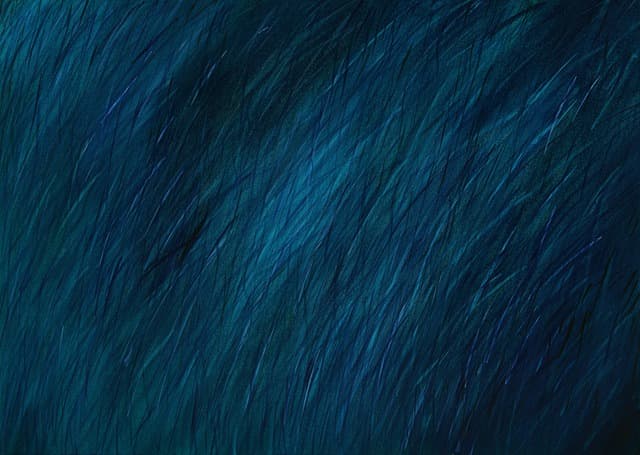 정진숙 : 천개의 바람 Thousand winds 포스터