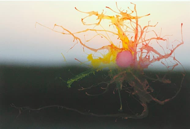 해오름 · Pigment Print · 64 x 43cm · 2021 (출처= 류가헌)