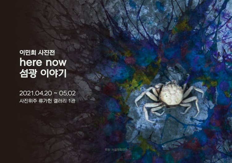 이민희 : Here & now 섬광이야기