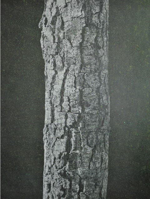 잎 · 나무, 연필, 아크릴 · 130.3 x 162.2cm · 2021 (출처= 공갤러리)