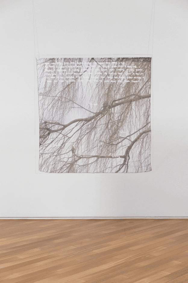 Green Birds · 유리, 천에 UV 인쇄 · 100×100×10cm · 2020-2021 © SongEun Art and Cultural Foundation and the Artist. All rights reserved · Green Birds