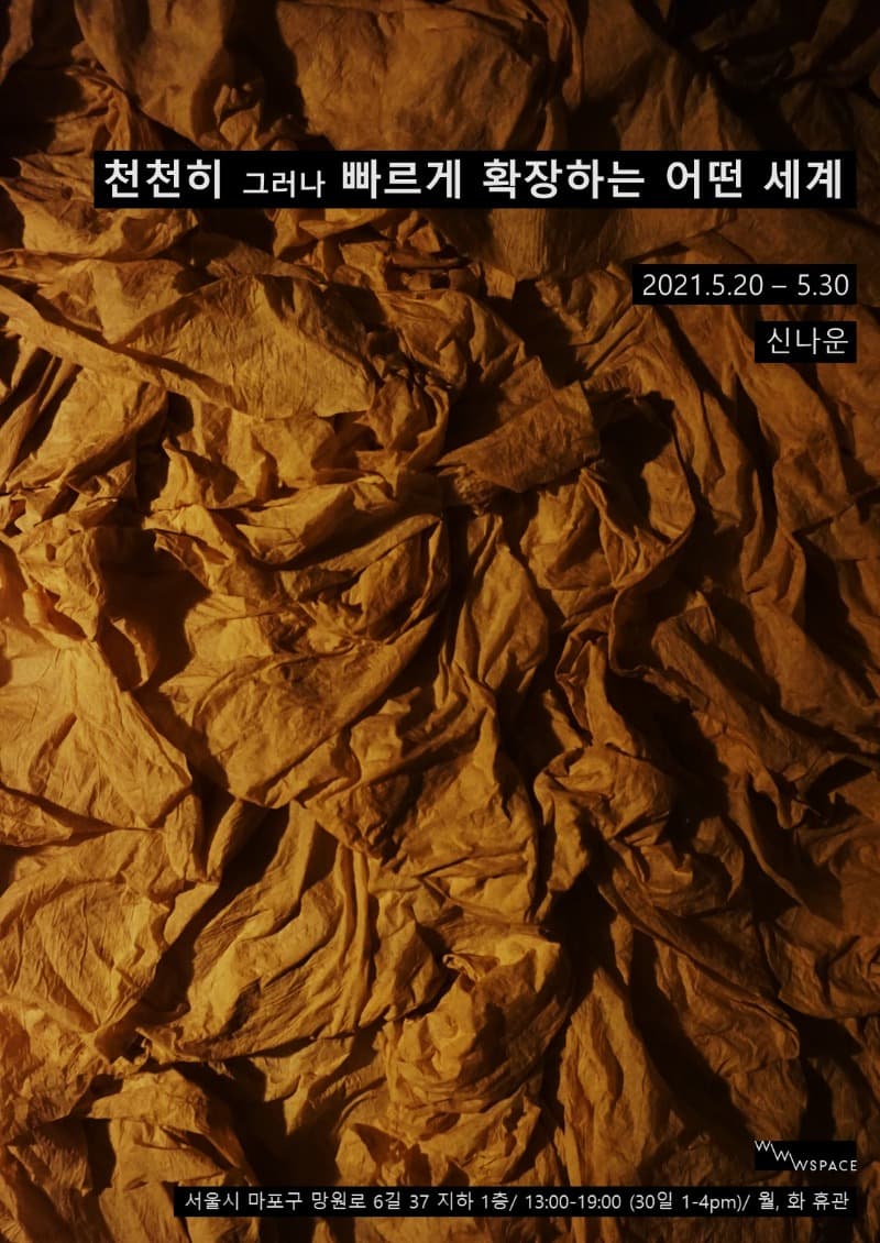 신나운 : 천천히 그러나 빠르게 확장하는 어떤 세계 포스터
