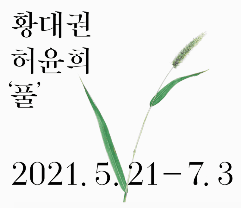 황대권, 허윤희 '풀'