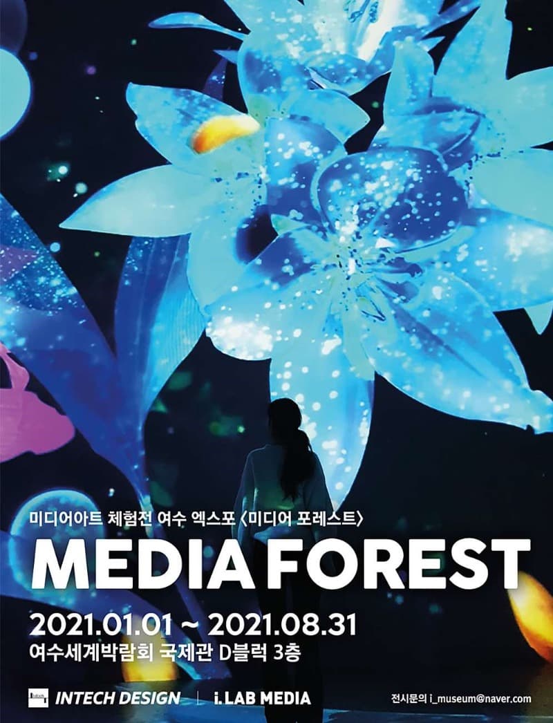 MEDIOAFOREST